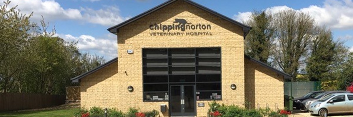Chipping Norton Veterinary Hospital￼ - Eye Vet Clinic